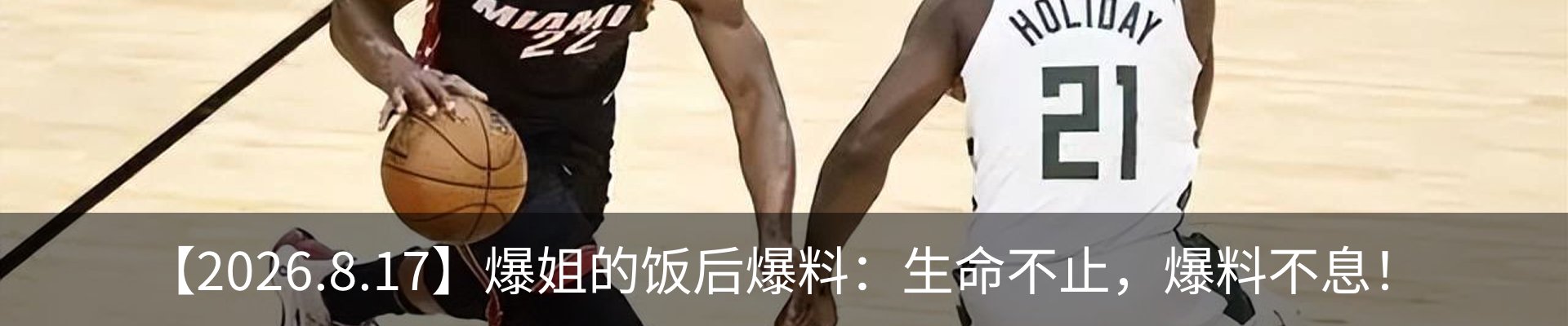 新闻动态