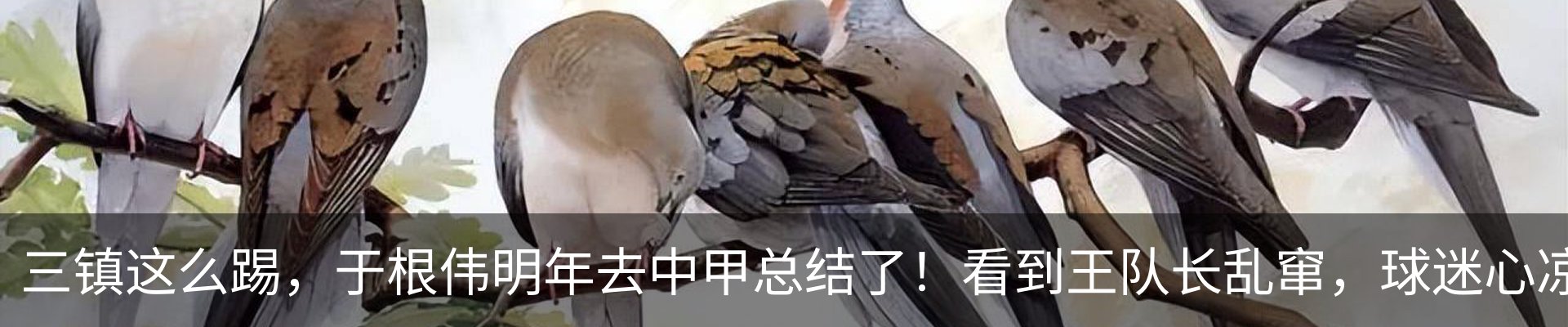 新闻动态