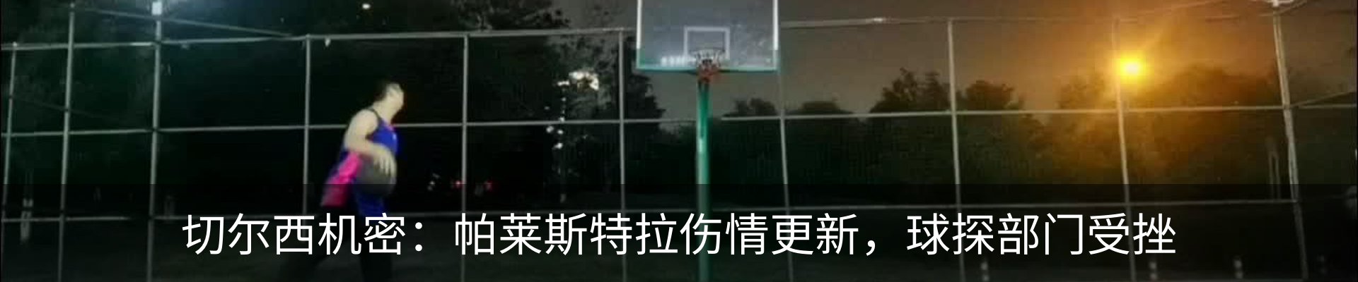新闻动态