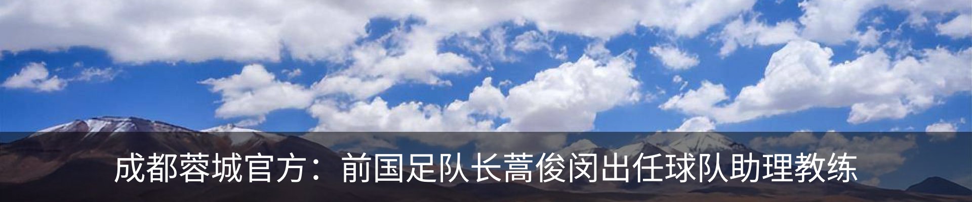 新闻动态