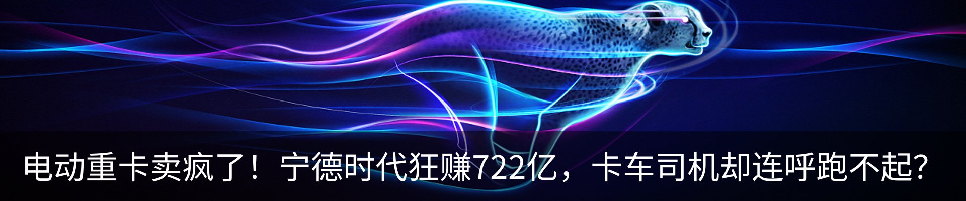 新闻动态