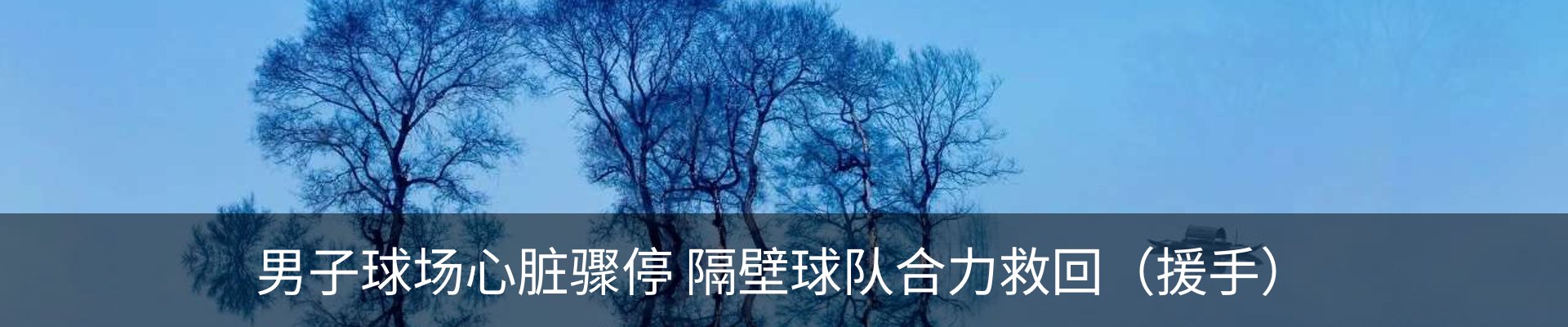 新闻动态